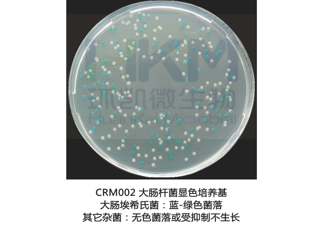 大肠杆菌显色培养基生物图册