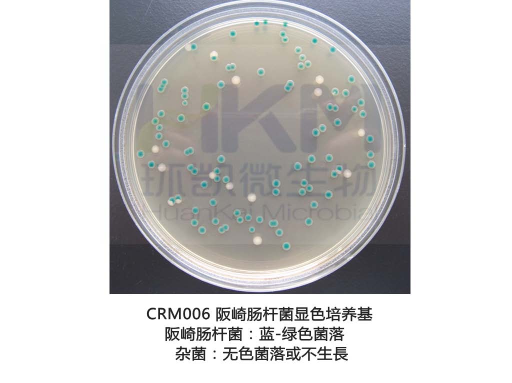 阪崎肠杆菌显色培养基(DFI琼脂)生物图册