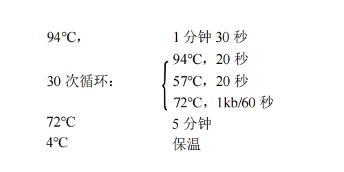 1st Strand cDNA Synthesis Kit(gDNA Purge)常用PCR 循环