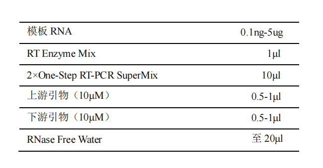 一步法 RT-PCR 试剂盒配置反应体系