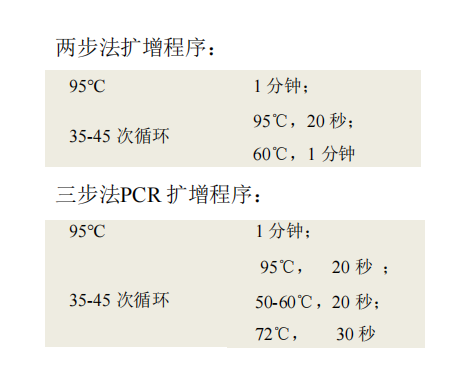 常用 PCR 循环