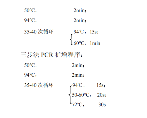 常用 PCR 循环