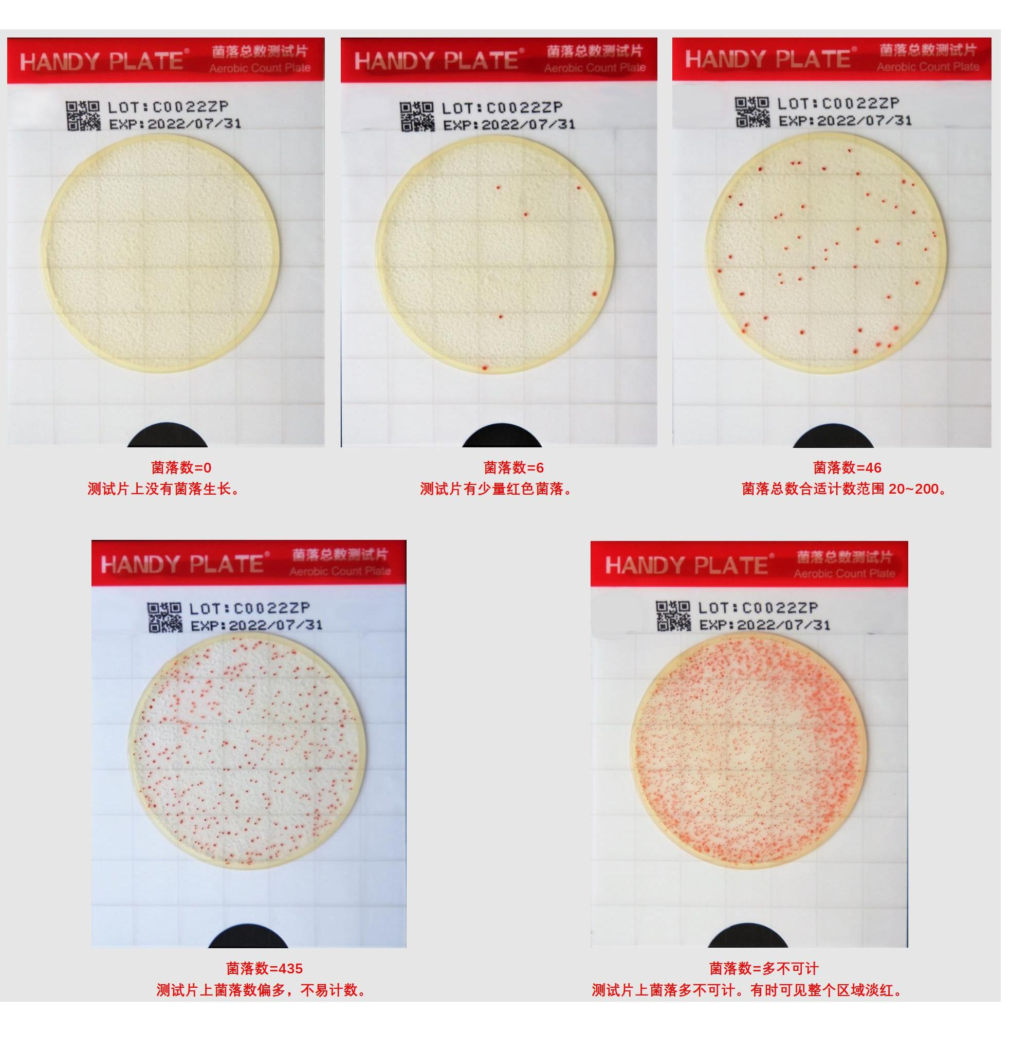 菌落总数测试片判读手册
