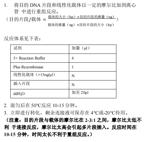 B 目的片段与载体的重组