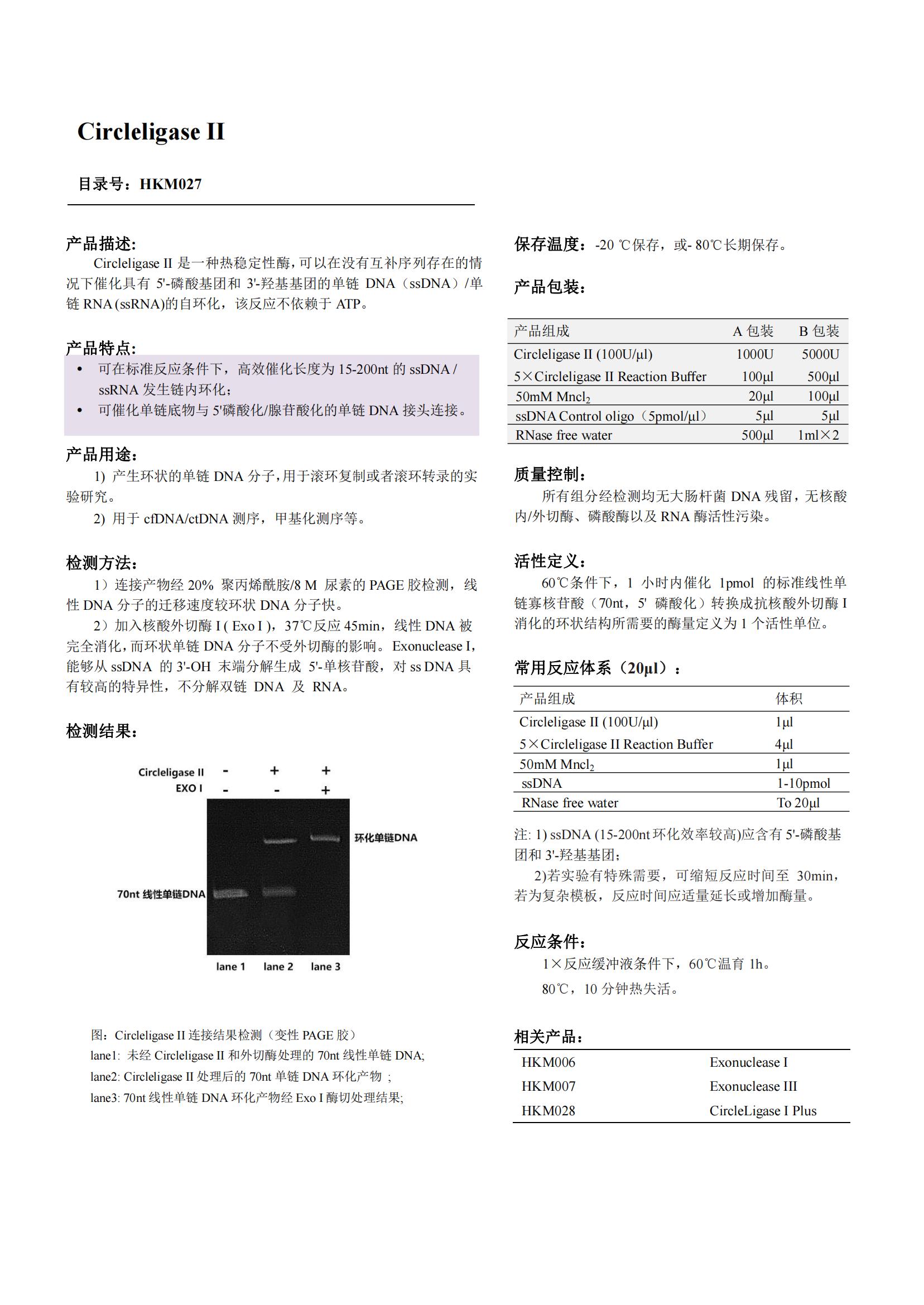 Circleligase Ⅱ（环状连接酶）产品说明书