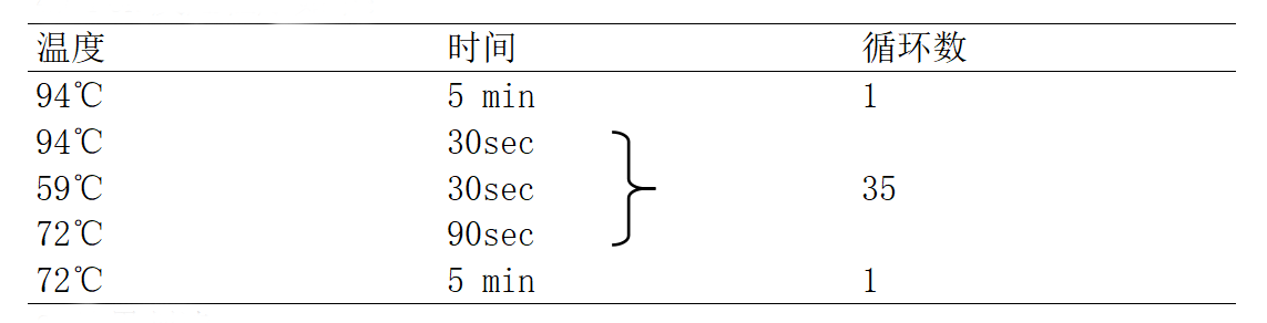 EAEC多重PCR检测试剂盒PCR判读程序