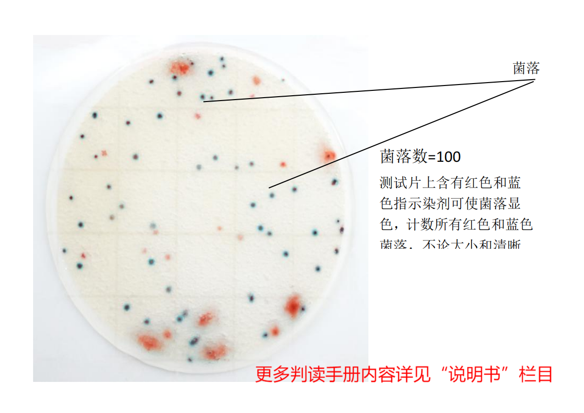 快速菌落总数测试片判读手册