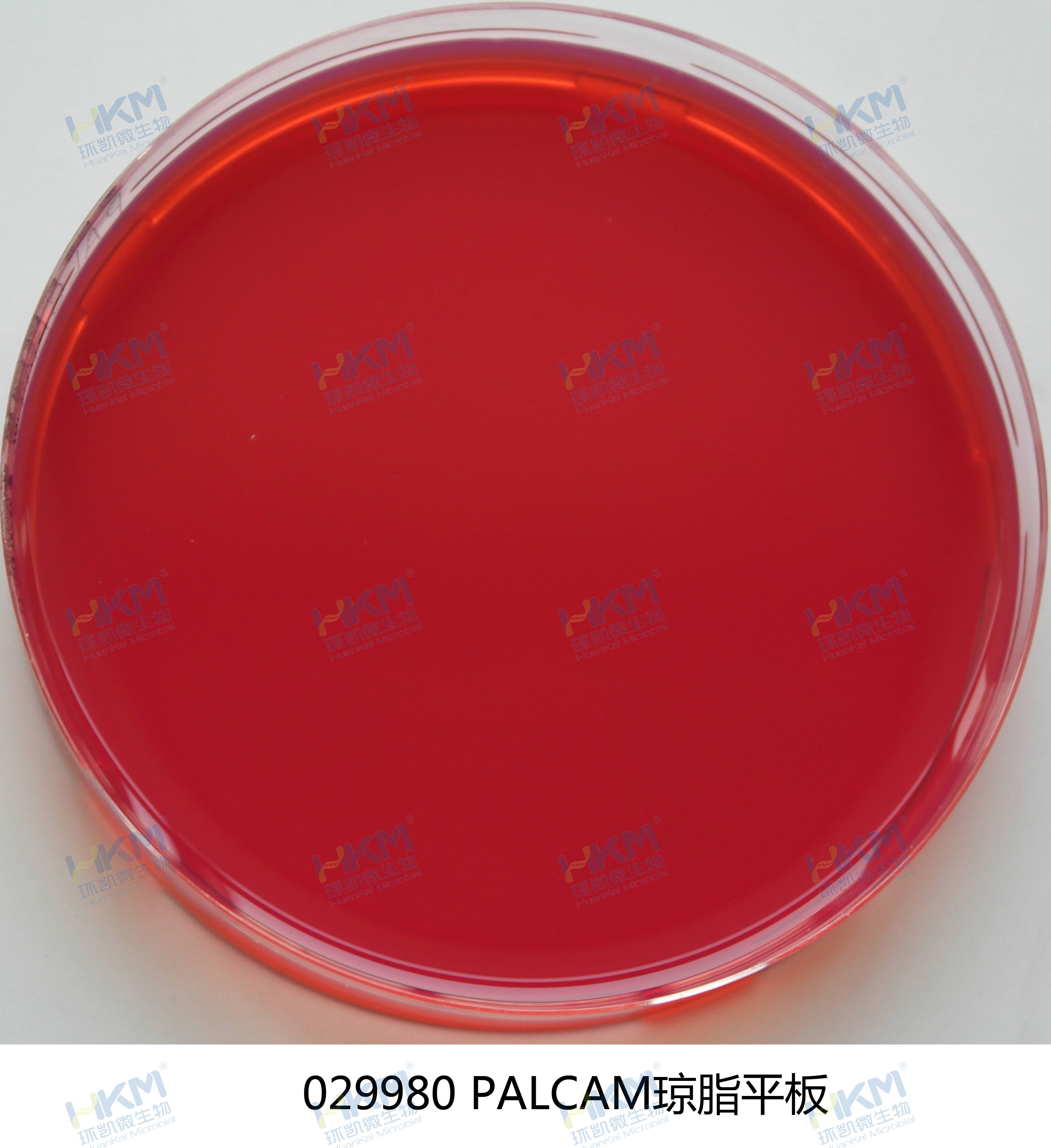 PALCAM琼脂平板