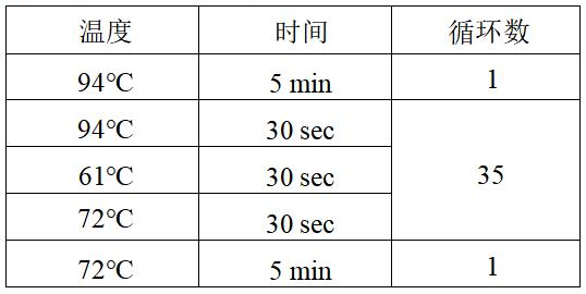 克罗诺杆菌 PCR 检测试剂盒反应程序