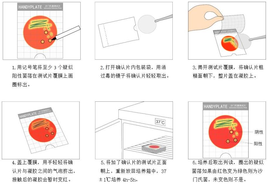 Handy plate®沙门氏菌确认反应片操作步骤