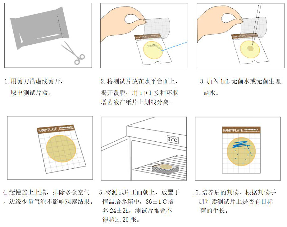 定性检验操作图解