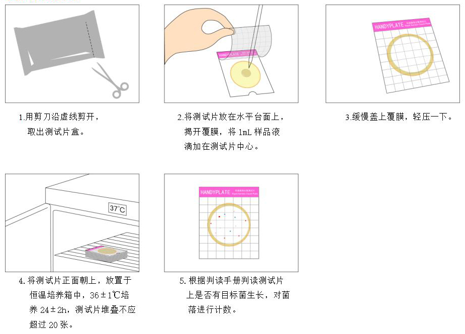 Handy plate®快速菌落总数测试片 操作图解