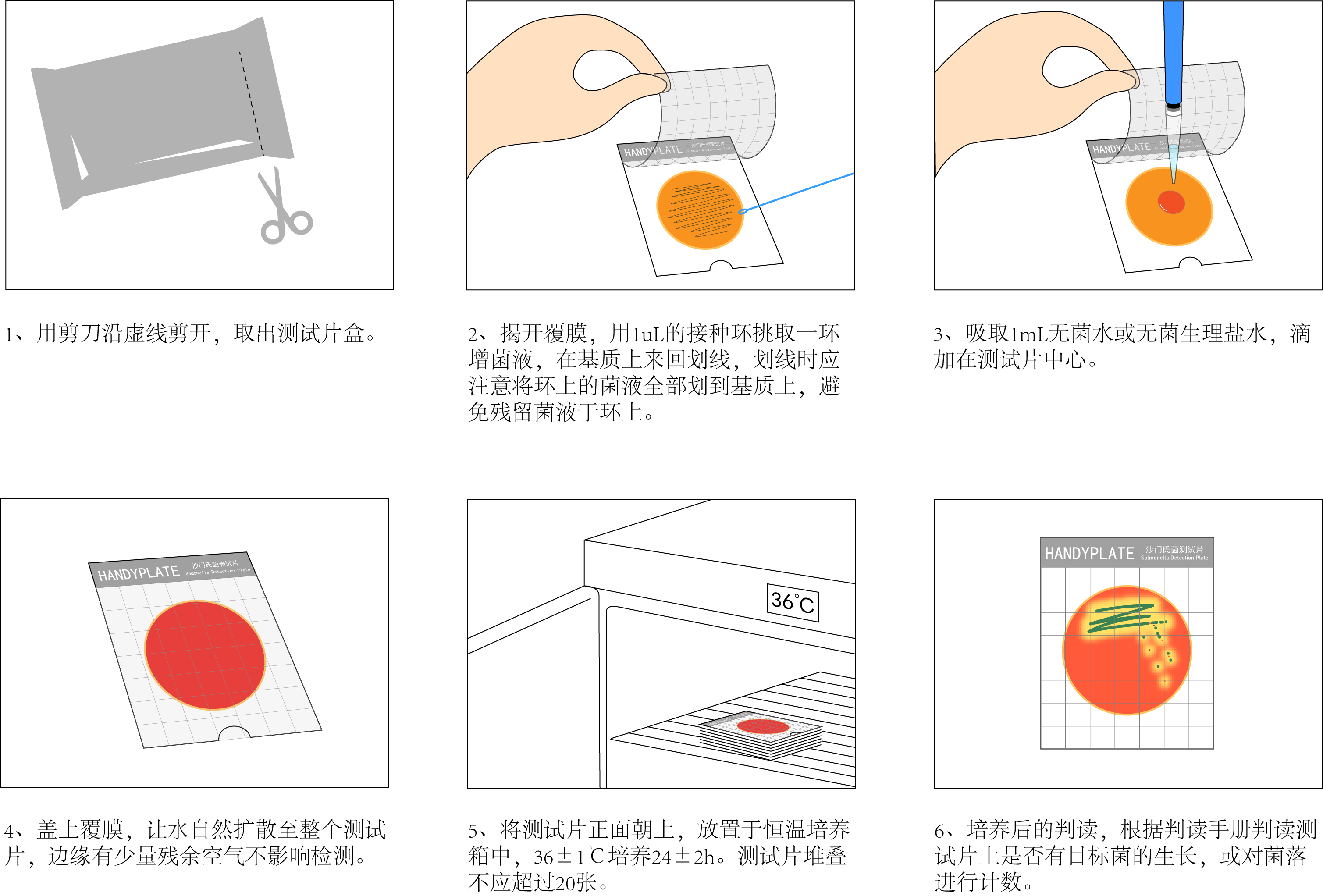 Handy plate®沙门氏菌测试片 操作图解