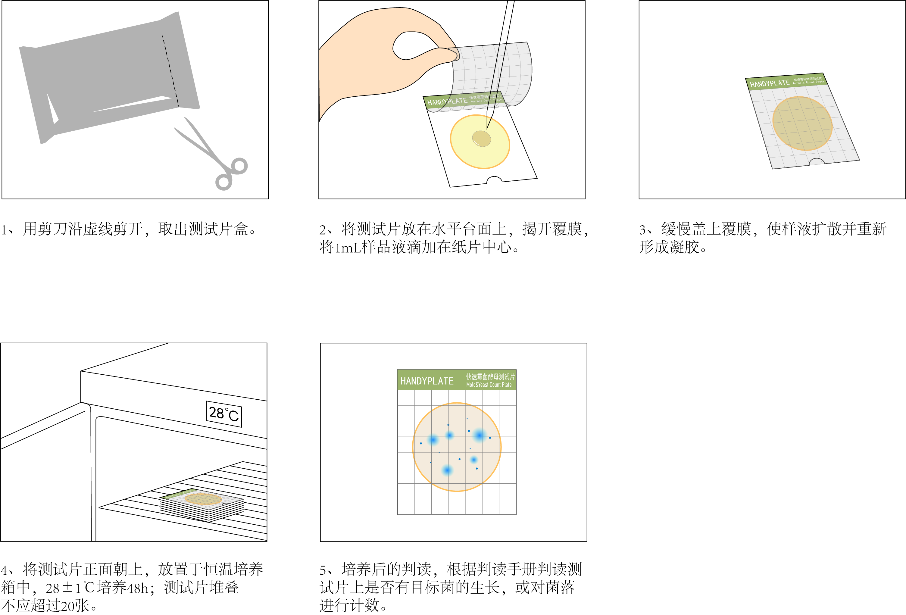 HandyPlate®快速霉菌酵母测试片 操作图解