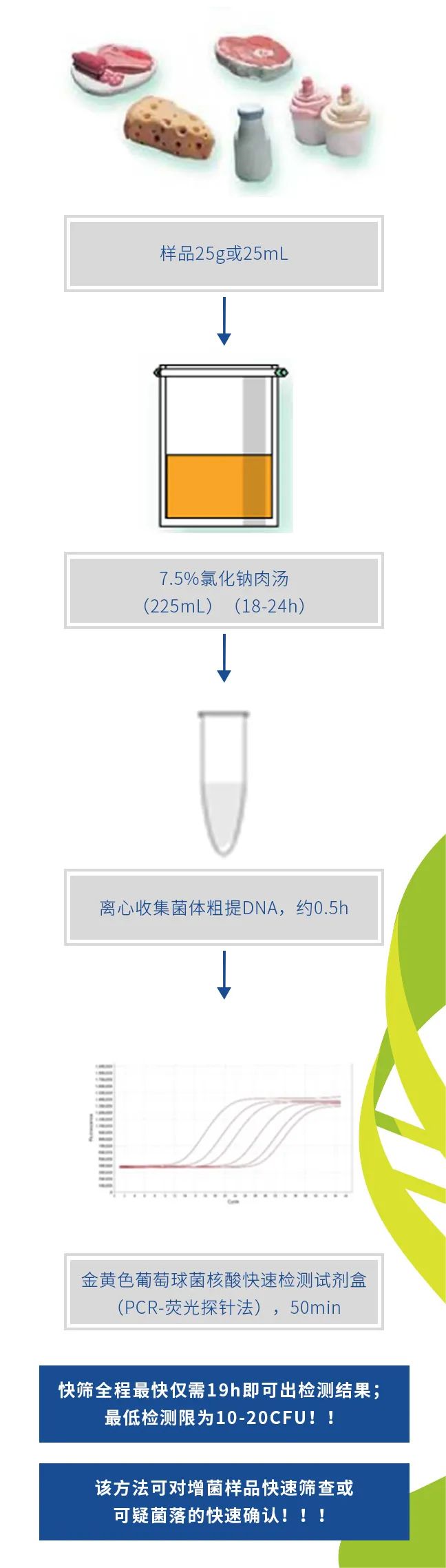 金黄色葡萄球菌实时荧光PCR快检法