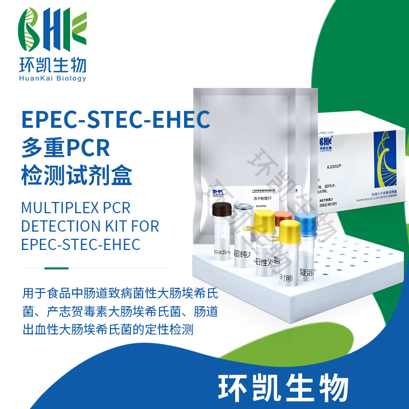 EPEC-STEC-EHEC多重PCR检测试剂盒