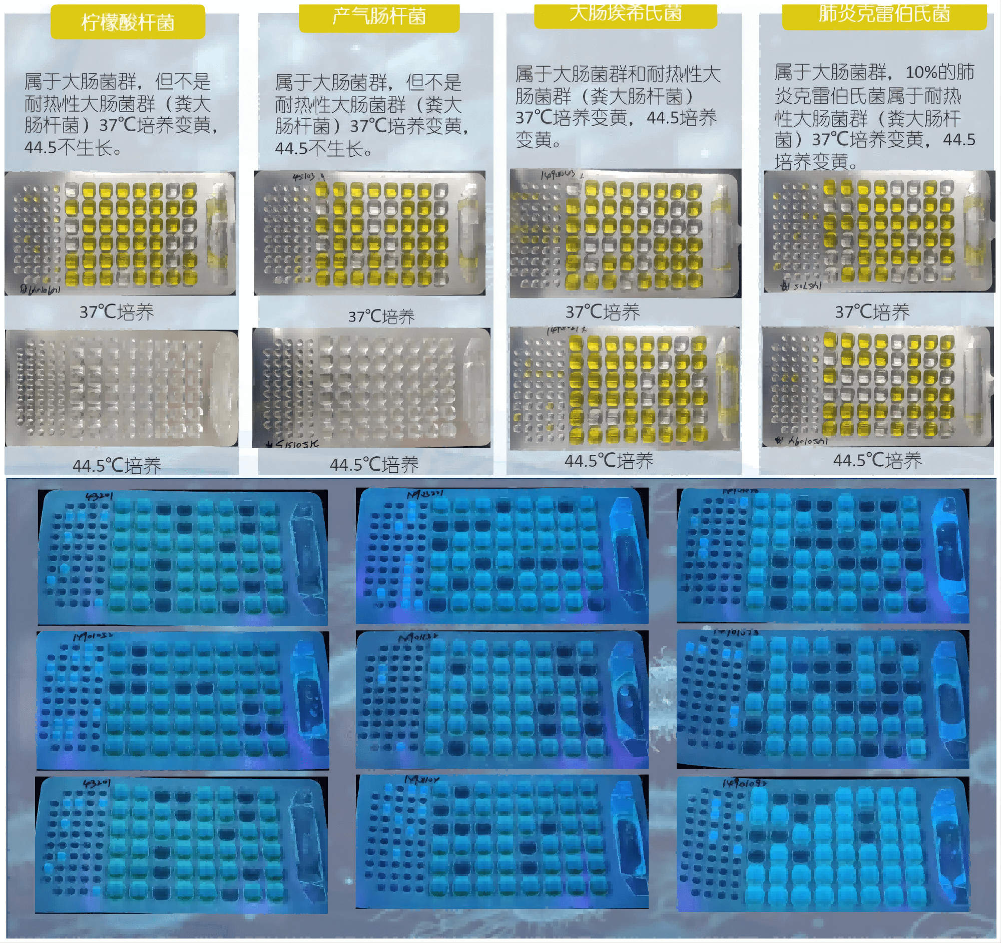 程控定量封口机结果判读