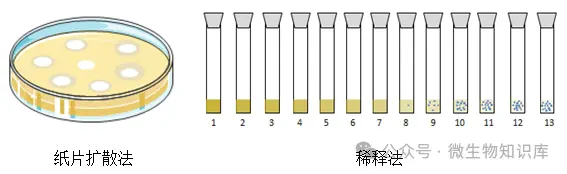 纸片扩散法与稀释法差异