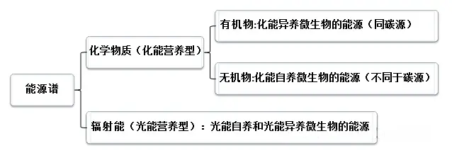 微生物能源谱